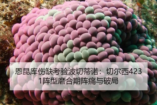 en-kun-ku-shang-que-kao-yan-bo-qie-di-nuo-qie-er-xi-zhen-xing-mo-he-qi-zhen-tong-yu-po-ju-2-856.jpg