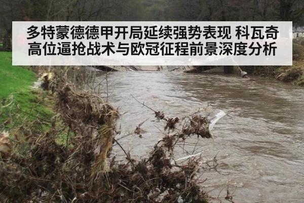 多特蒙德德甲开局延续强势表现 科瓦奇高位逼抢战术与欧冠征程前景深度分析